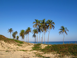 Fototapeta na wymiar Varadero beach, Caribbean sea, Cuba