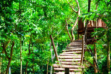 Obraz premium hut wood and bridge log was built in forest for adventure activity of scout