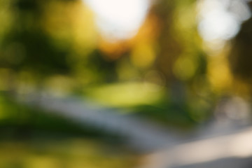 Abstract blurred nature background. Forest trees, Sunny day, sun glare, bokeh. Defocused backdrop for your design