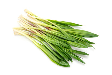 ギョウジャニンニク