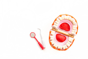 orthodontic model and dentist tool - demonstration teeth with bracket or brace