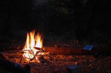 Night campfire. Fire flames at summer bight