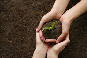 Women setting out plants in soil