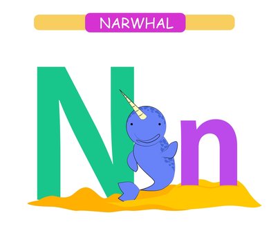 Letter N and funny cartoon narwhal.  Animals alphabet a-z. Cute zoo alphabet in vector for kids learning English vocabulary. Printable sheet.