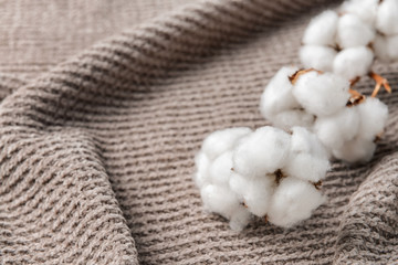 Fototapeta na wymiar Cotton flowers on knitted plaid