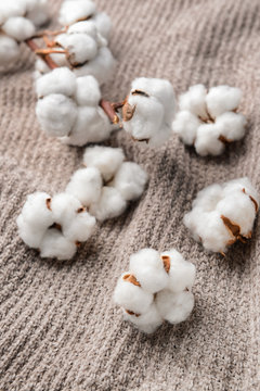 Cotton flowers on knitted plaid