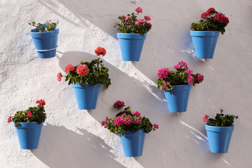 Fototapeta na wymiar Andalucia Spain whitewashed village flower pot wall display