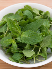 ハーブ　スペアミント