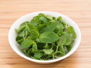 ハーブ　スペアミント