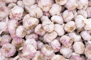 Fresh garlic for sale at farmers market