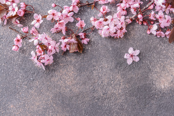 Beautiful blossoming branches on grunge background