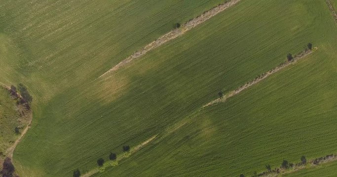 Aerial images of fields planted in La Noguera, Lleida, Spain. Cenital plane