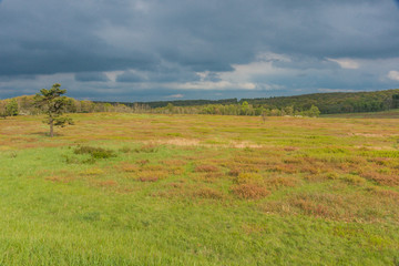 Fototapeta premium Big Meadows in Shenandoah National Park in Virginia, United States