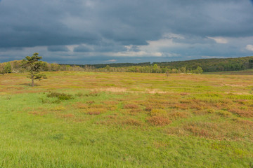 Big Meadows in Shenandoah National Park in Virginia, United States