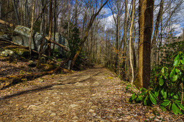 Big Creek Trail in Great Smoky Mountains National Park in North Carolina, United States