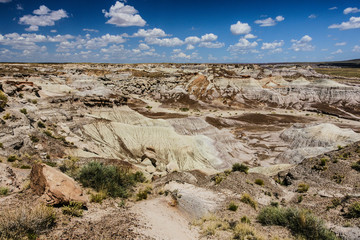 Blue Mesa in Petrified Forest National Park in Arizona, United States
