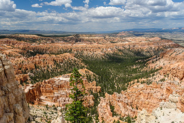 Bryce Point in Bryce Canyon National Park in Utah, United States