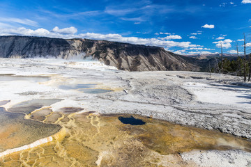 Canary Spring, Yellowstone National Park, Wyoming, United States