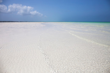 Fototapeta na wymiar Amazing beach with white sand in Zanzibar,Tanzania