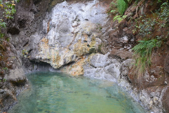 Fuentes Georginas Zunil Guatemala