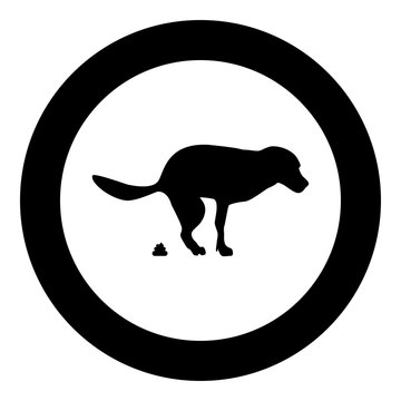 The dog poops icon in circle round black color vector illustration flat style image
