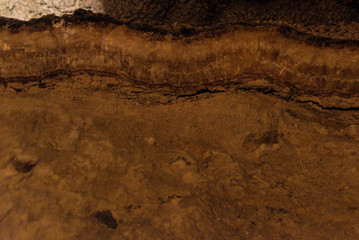 Cave 