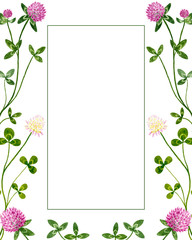 Watercolor clover flowers and leaves frame. Hand painted botanical illustration on white background with place for text