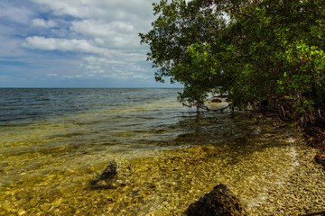 Convoy Point in Biscayne National Park in Florida, United States