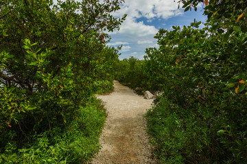 Fototapeta na wymiar Convoy Point Trail in Biscayne National Park in Florida, United States