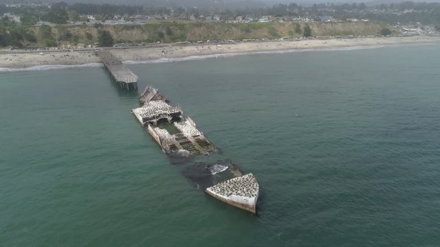 AERIAL - Sunken Ship of the Pier