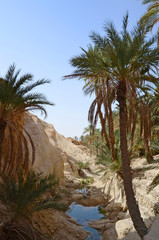 Fototapeta na wymiar Famous Mountain oasis Chebika in Tunisia, Northern Africa