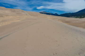 Fototapeta na wymiar Dune Field in June in Great Sand Dunes National Park in Colorado, United States