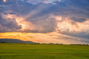 Beautiful sunset landscape on green glass field