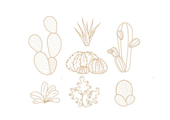set of cactus illustration © wasit