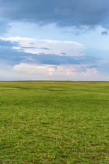 Fototapeta na wymiar Blue sky and green grass field background
