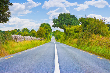Fototapeta na wymiar Typical country road in the Irish rural areas in the summer season (Ireland)