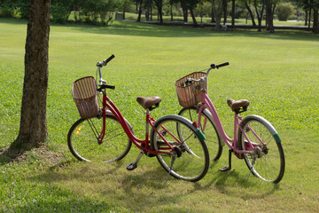 Fototapeta premium Two bikes parked on the green grass. In the natural garden In the heart of the capital of Thailand