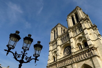 Fototapeta na wymiar Notre Dame de Paris et réverbère. 15/04/2019