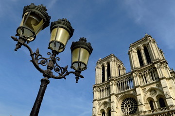 Fototapeta na wymiar Notre Dame de Paris avec réverbère cassé. 