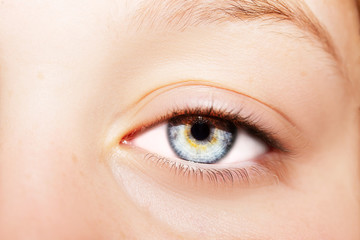 Obraz premium A beautiful insightful look eye. Close up shot