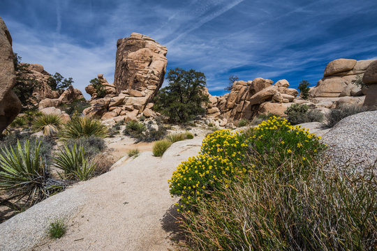 Hidden Valley Nature Trail in Joshua Tree National Park in California, United States