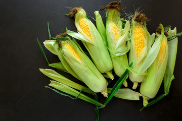 Fresh corn on cobs on brown rustic wooden background. Top view. Healthy eating or vegetarian concept