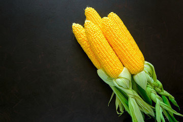 Fresh corn on cobs on brown rustic wooden background. Top view. Healthy eating or vegetarian concept