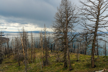 Lake Butte Overlook in Yellowstone National Park in Wyoming, United States