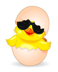 Cute chicken in black sunglasses. Cartoon chicken in black glasses peeking out of an eggshell. Little yellow chicken on white background
