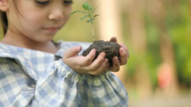Cute little girl holding sapling on the soil