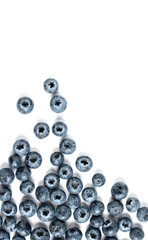 blueberries isolated on white background