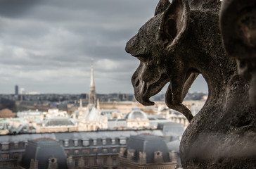 Parigi, francia, TourEiffel, Notre Dame, viaggio, 