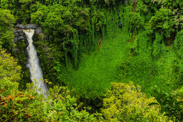 Makahiku Falls in Haleakala National Park in Hawaii, United States