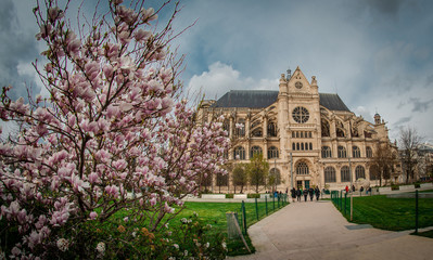 Parigi, Francia, Tour Eiffel, Notre Dame, viaggio, 